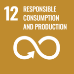 The icon for Goal 12 of the Sustainable Development Goals. An infinity symbol with the words reading Responsible Consumption and Production