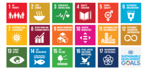 Collage of all 19 Sustainable Development Goals (SDG)