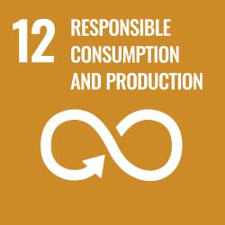 The icon for Goal 12 of the Sustainable Development Goals. An infinity symbol with the words reading Responsible Consumption and Production