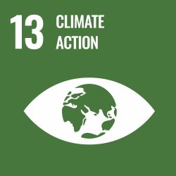 The icon for Goal 12 of the Sustainable Development Goals. It's a green eye with the earth as a puil and reads Climate Action