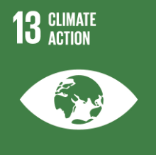 SDG 13